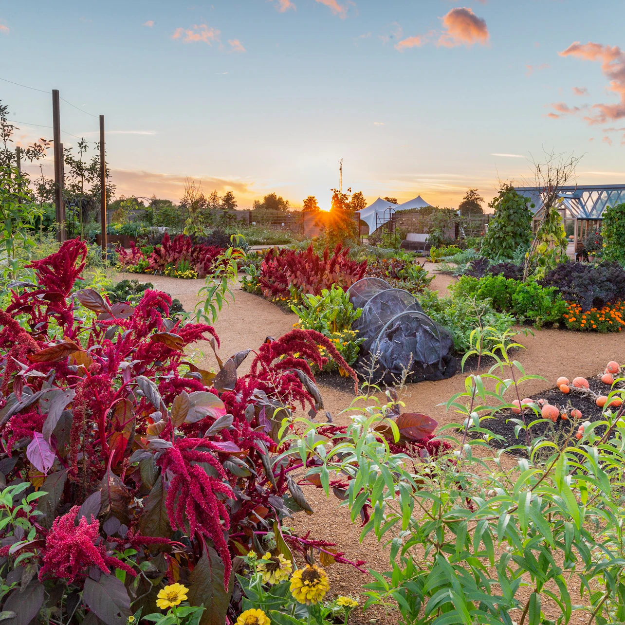 RHS Garden Wisley: Entry Ticket in Wisley β Tiqets
