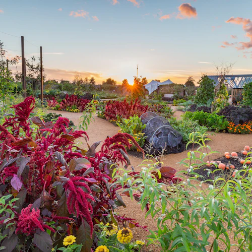 RHS Garden Wisley: Entry Ticket - Photo 4