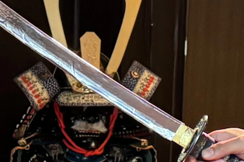 A person in traditional Japanese attire holds a sword in a defensive stance indoors, with samurai armor displayed in the background.