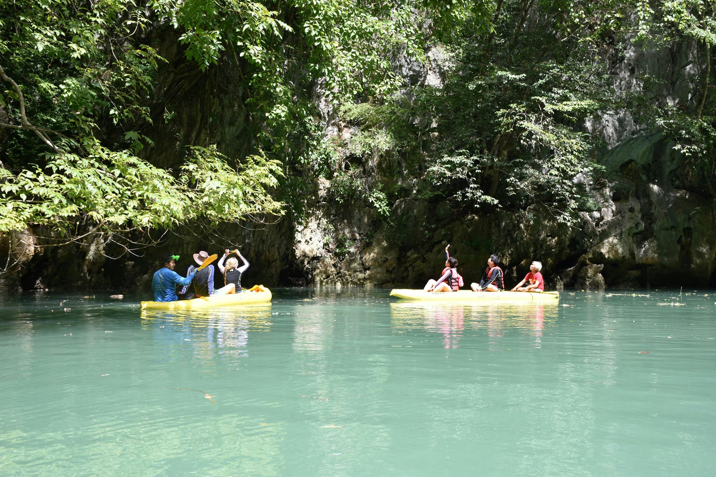 Spot pure nature and wildlife around you