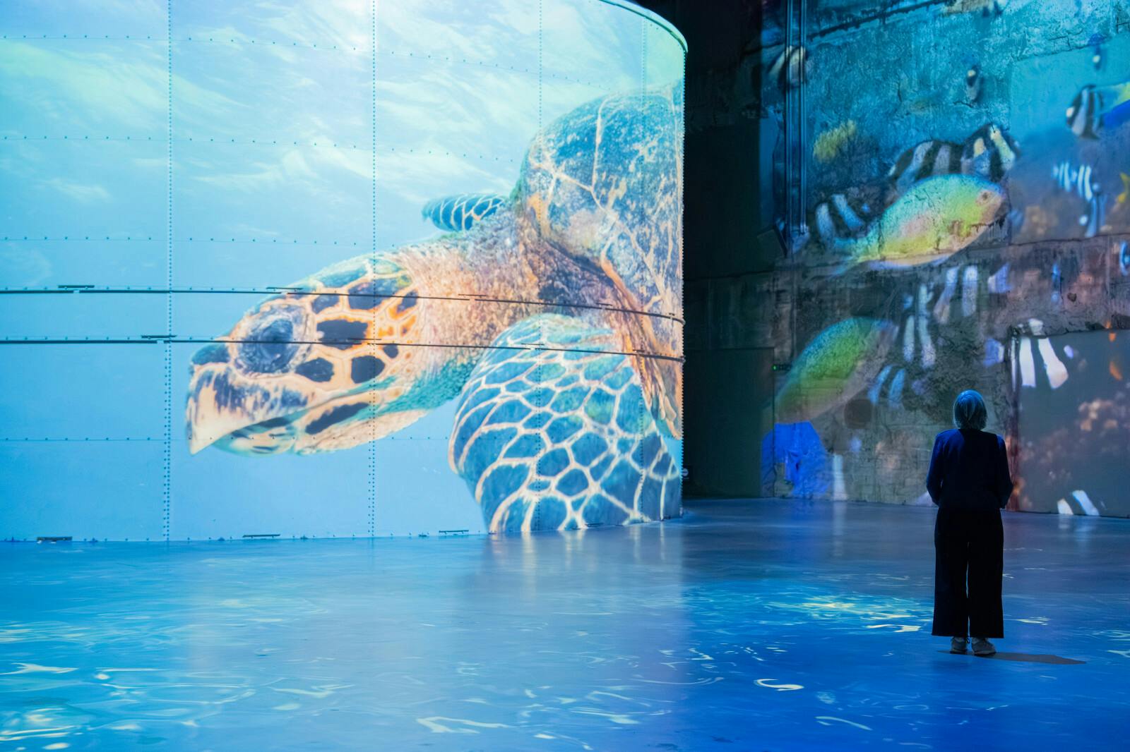Bacias hidrográficas de Lumières: Exposição sobre o Oceano - Photo 8