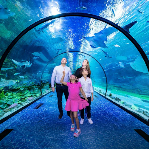 The National Aquarium Abu Dhabi & Adrenark Adventure Pass - Photo 2