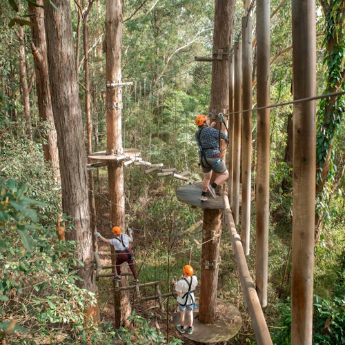 Treetops Adventure Central Coast: Junior Ropes Course