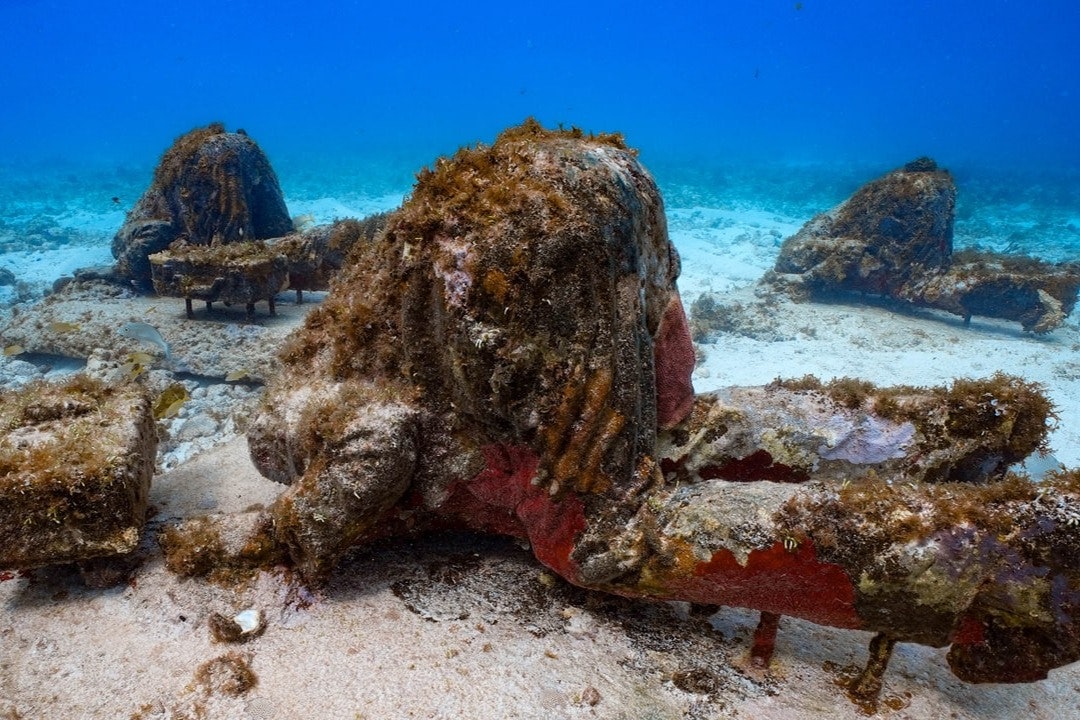 Museu de Arte Subaquática de Cancún e Recife de Coral Manchones: Passeio de mergulho com snorkel
