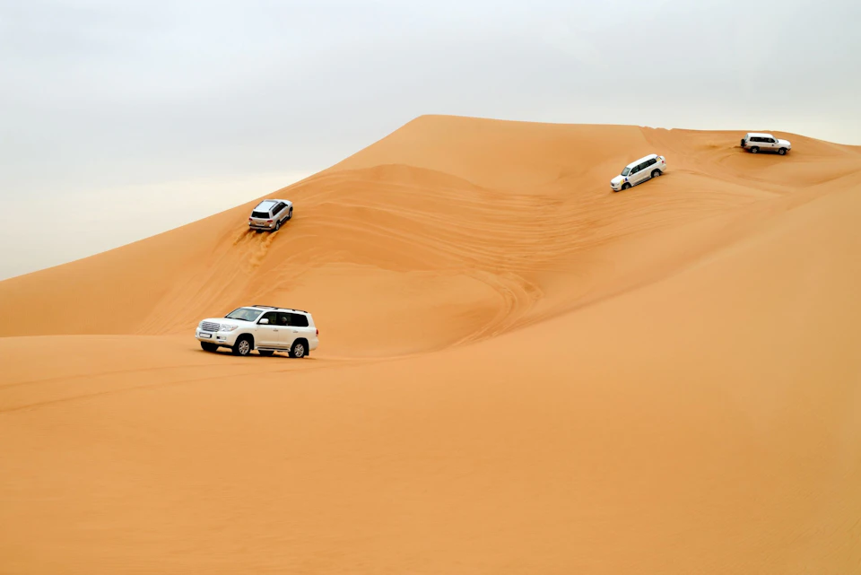Desert Safari including BBQ dinner