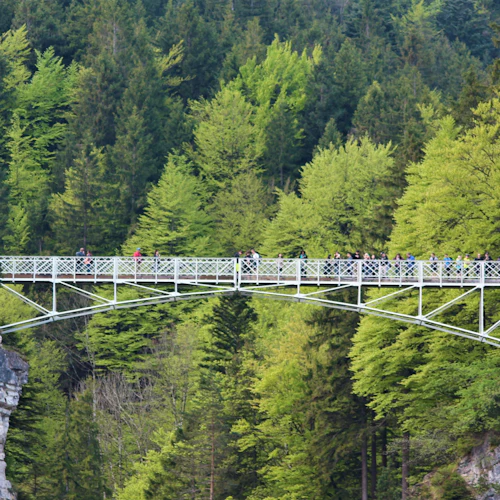 Neuschwanstein Castle, Ettal Abbey & Oberammergau: Private Day Tour from Munich - Photo 8
