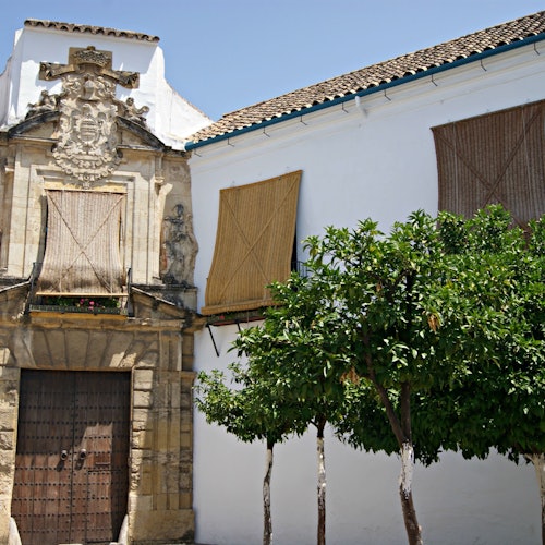 Córdoba y su mezquita: Excursión de día entero desde Granada