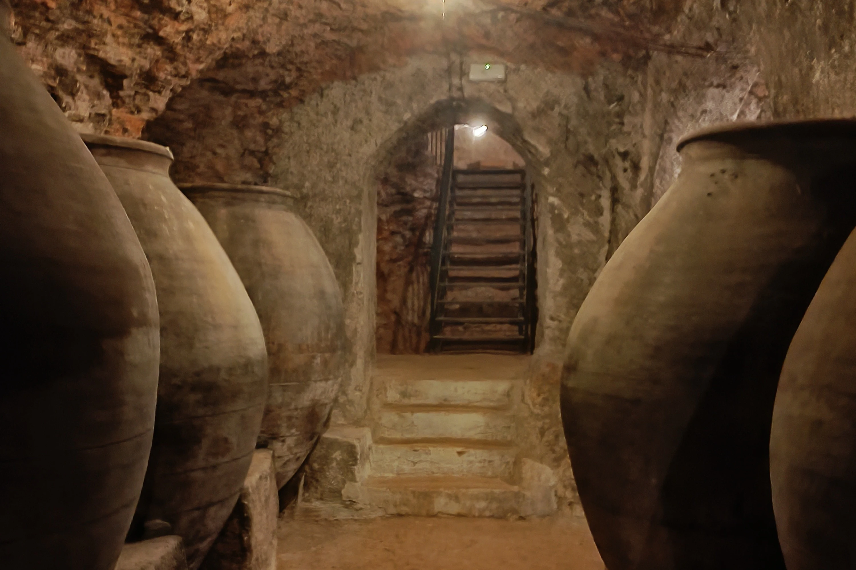 Alcalá de Henares: Guided City & Winery Tour from Madrid + Wine Tasting