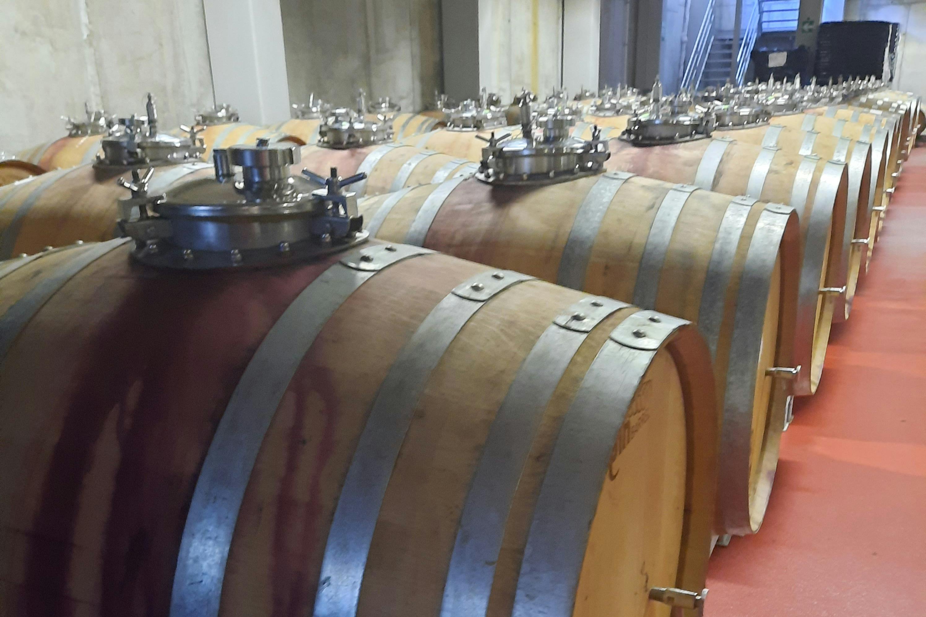 Maiorca: Tour guidato delle cantine + trasferimento + degustazione di vini — 3