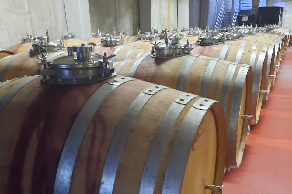 Wine cellar