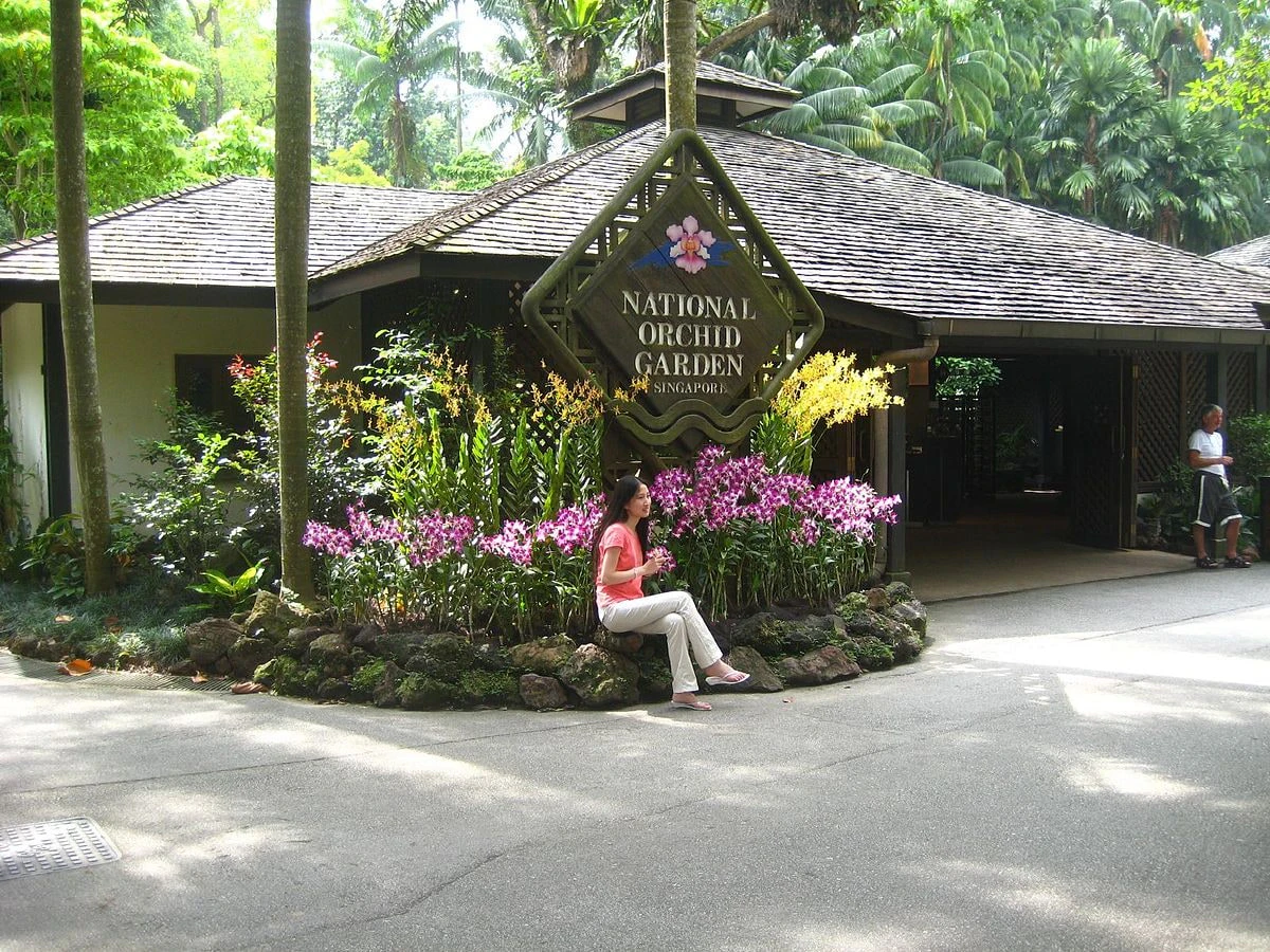 A person sits near the entrance sign of the National Orchid Garden in Singapore, surrounded by colorful orchid flowers.