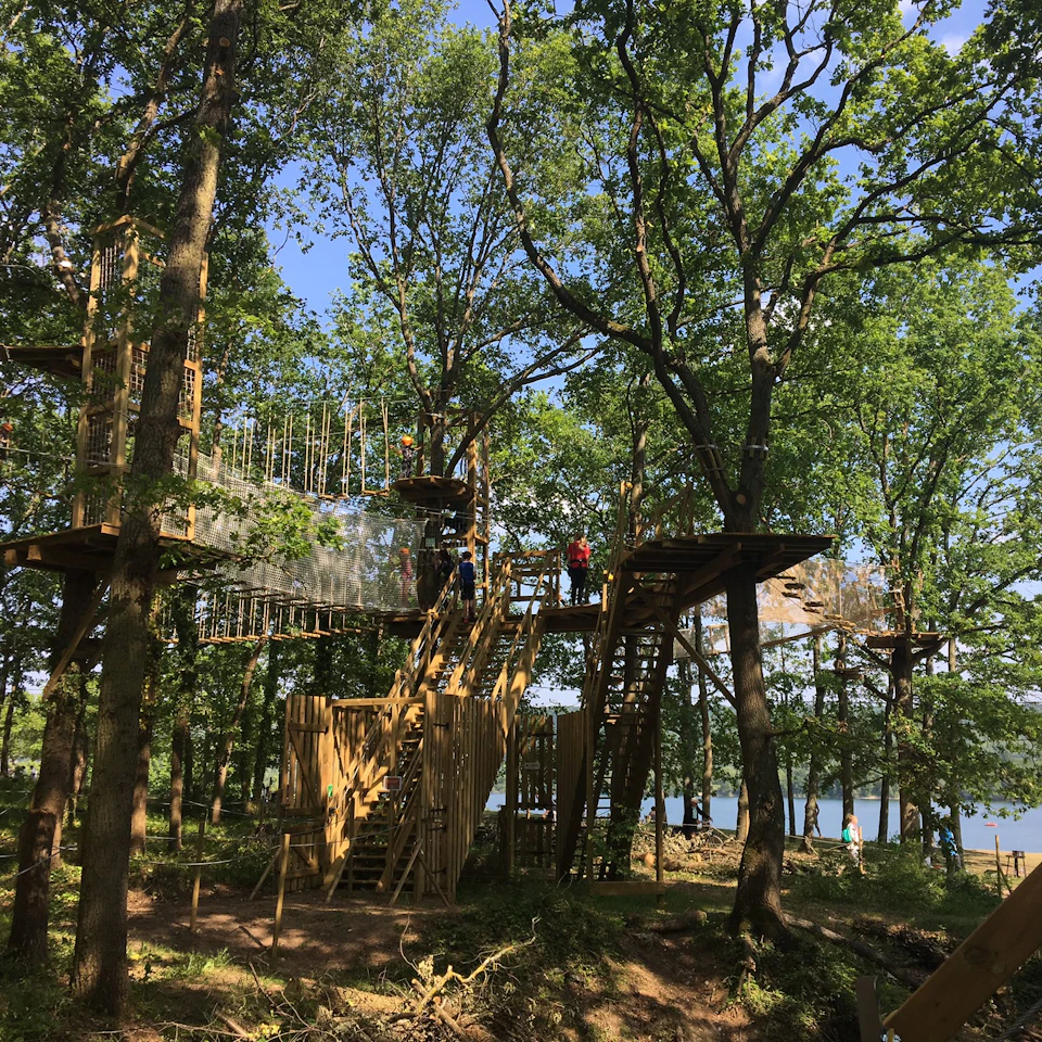 Elevated wooden structures and walkways among trees in a forest, with a view of a lake in the background.