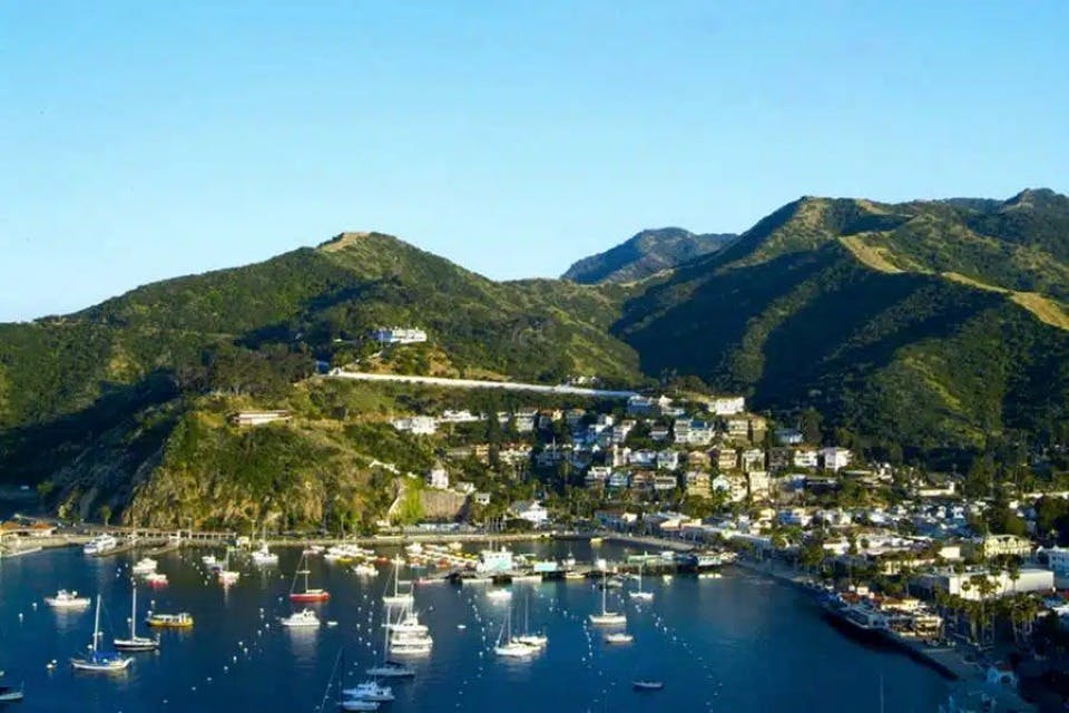 Excursió d'un dia a l'illa Catalina amb transport hoteler