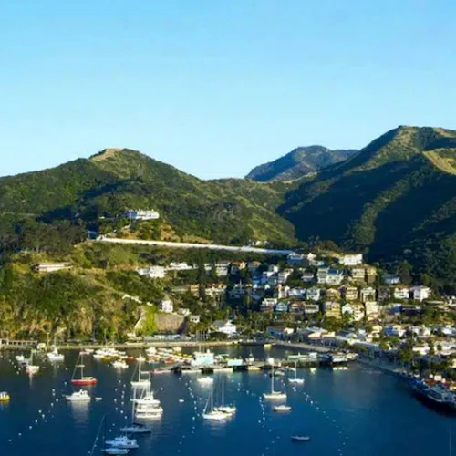 Catalina Island: Day Trip with Undersea Sub Expedition