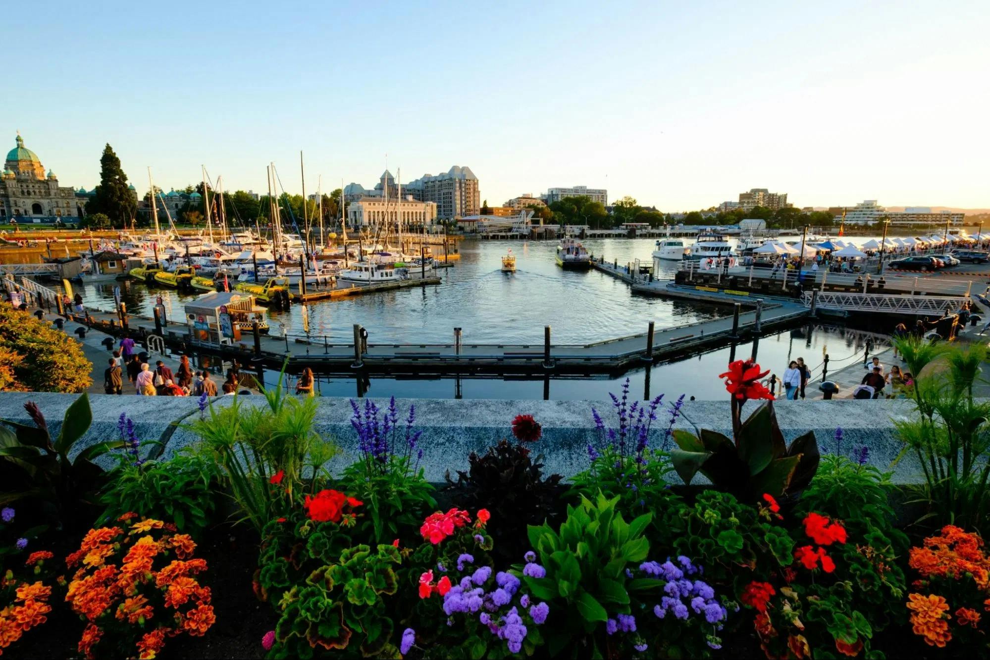 Victoria: Guided Evening Bus Tour 5