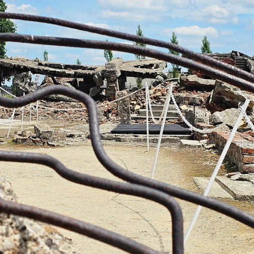 Auschwitz-Birkenau: Tour guiado + Transporte - Photo 14