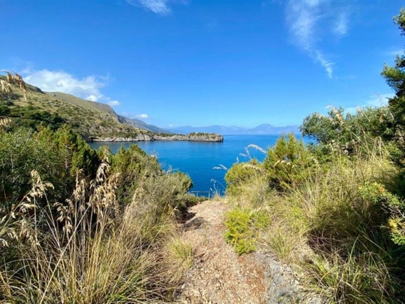 Narrow dirt path through tall grass leading to a coastal view with calm blue water, distant mountains, and a clear sky with wispy clouds.