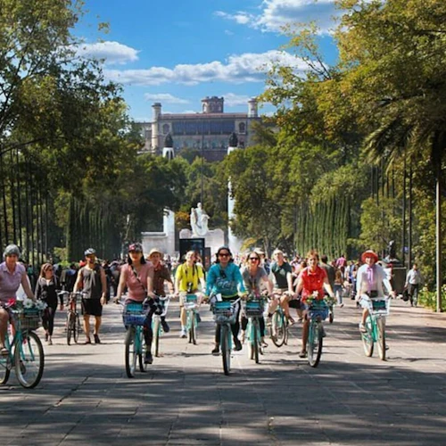 Mexico City Walking Tours: Boat Tour + Roundtrip Transport