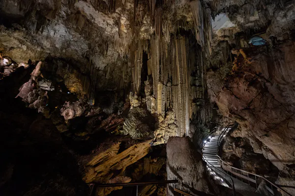 Grottes de Nerja : Billet d’Entrée