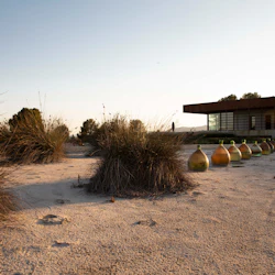 Barcelona: Guided Familia Torres Winery Tour + Tastings 2