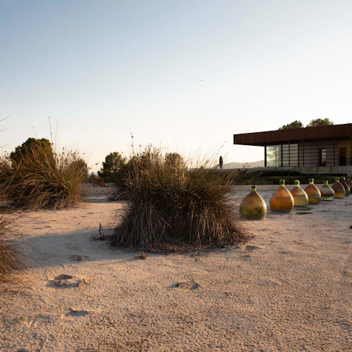 Barcelona: Guided Familia Torres Winery Tour + Tastings - Photo 2