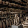 Pompeia amb dinar panoràmic en celler al Vesubi: excursió des de Roma