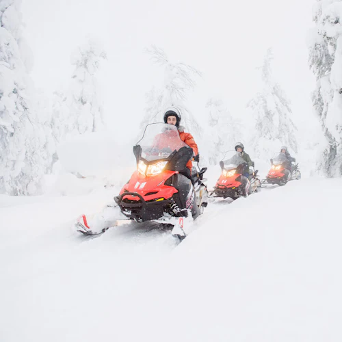 Lapland: Snowmobile Adventure with Transfer - Photo 4