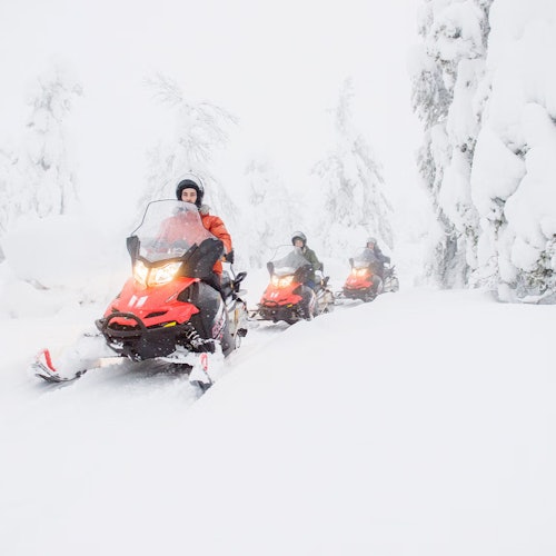 Laponia: Aventura en moto de nieve con traslado