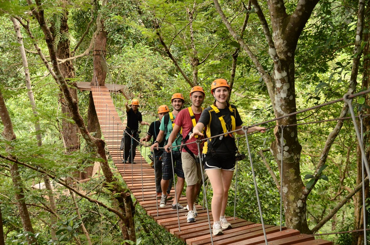五个戴着头盔和马具的人在森林中郁郁葱葱的绿树之间的吊桥上独自行走。