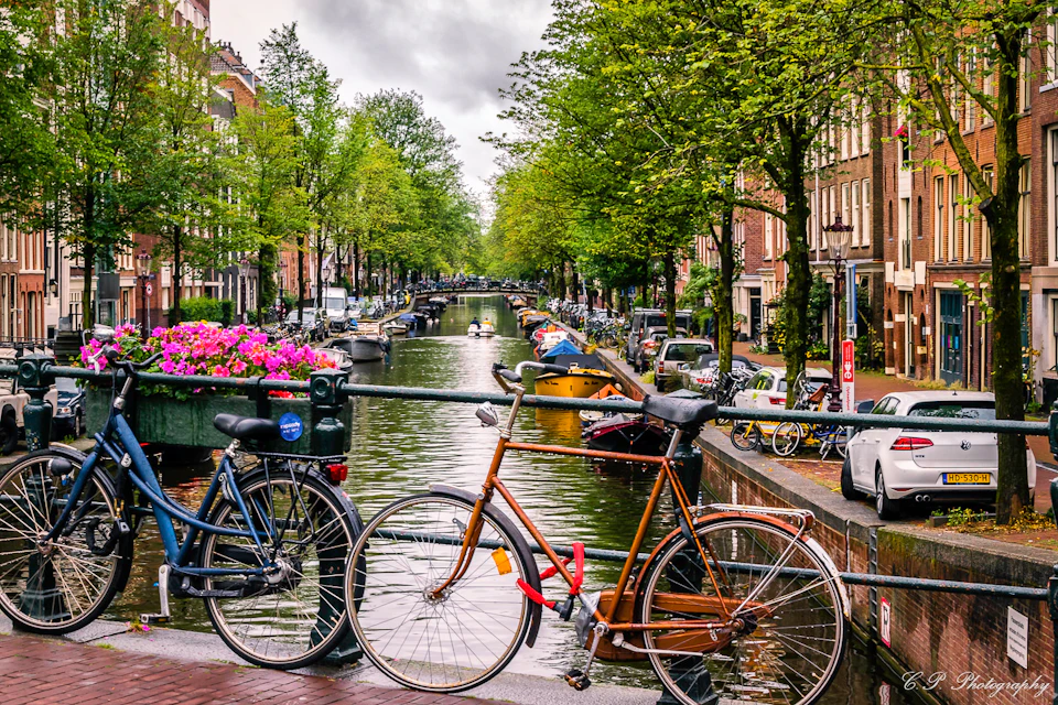 Bicycles parked on a bridge over a canal lined with trees, boats, and buildings on a cloudy day. Flowers in a planter on the bridge.