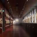 Cathedral Opera Museum