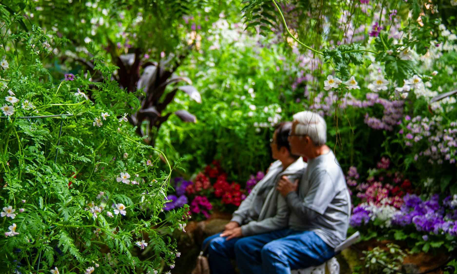 Dwie starsze osoby siedzą blisko na ławce, w otoczeniu bujnej zieleni i kolorowych, kwitnących kwiatów w ogrodzie.