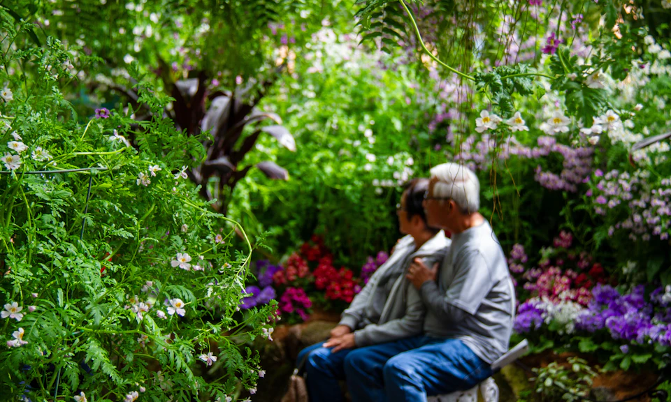 Two elderly people sit closely on a bench, surrounded by lush greenery and colorful, blooming flowers in a garden.