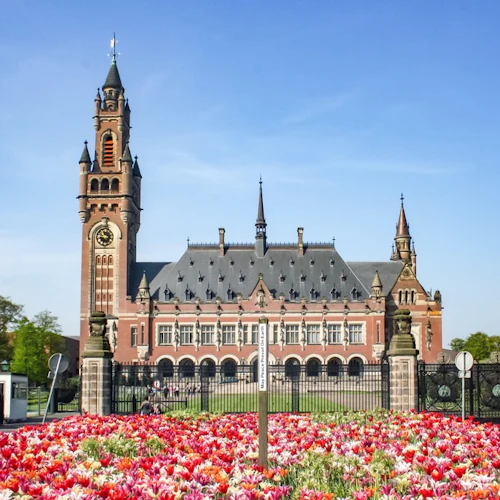 Rotterdam & The Hague: Guided Tour from Amsterdam - Photo 6