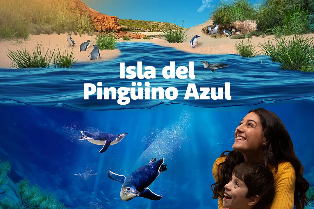 SEA LIFE Benalmádena: Entry Ticket