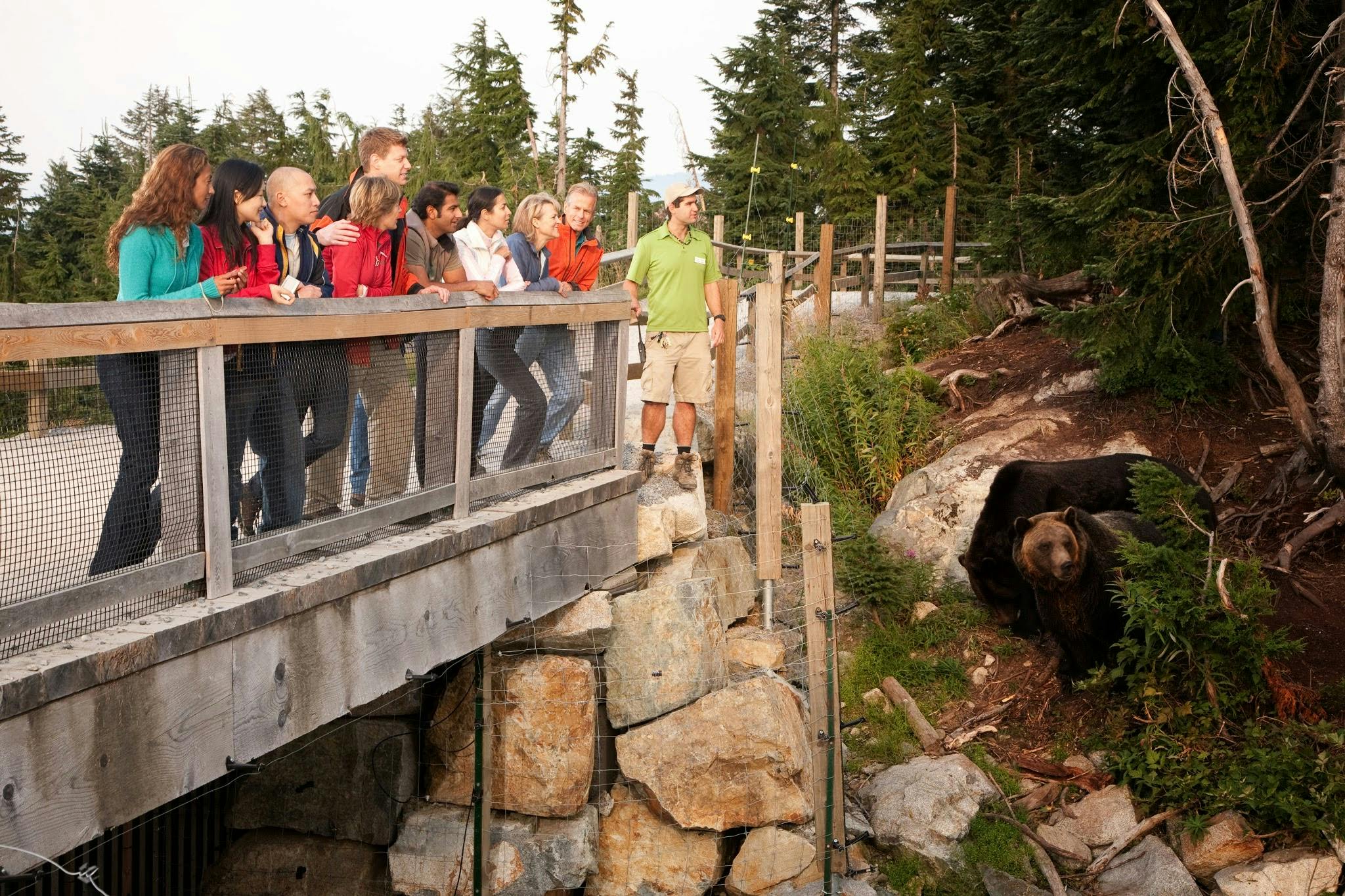 Grouse Mountain - Ranger Talks