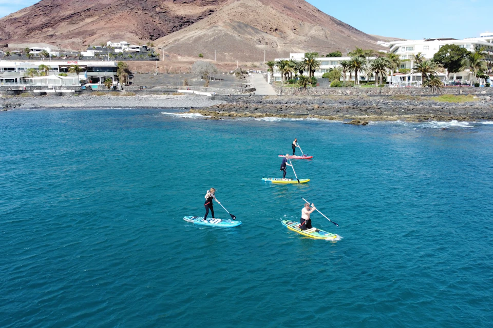 Four people stand paddleboarding on calm blue water near a rocky shore with buildings and palm trees in the background.