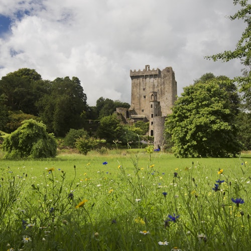 Cork and Blarney Castle Day Tour From Dublin