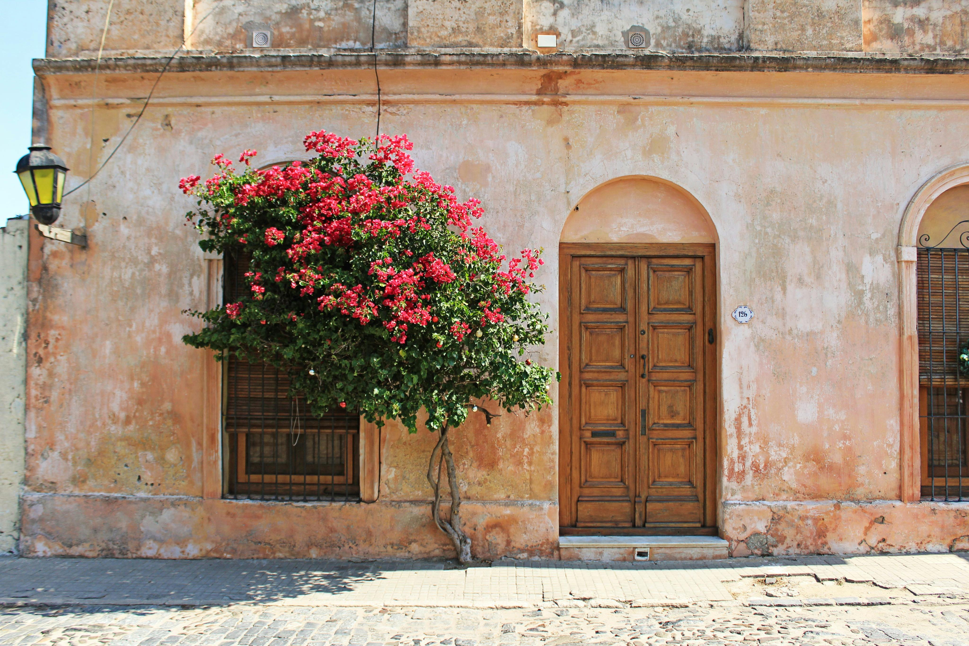 Colonia Del Sacramento: Full-Day Tour from Buenos Aires + Roundtrip Ferry - Photo 7