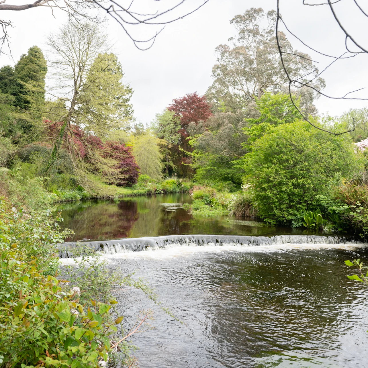 Avoca Mount Usher Gardens: Self Guided Experience in Ashford β Tiqets