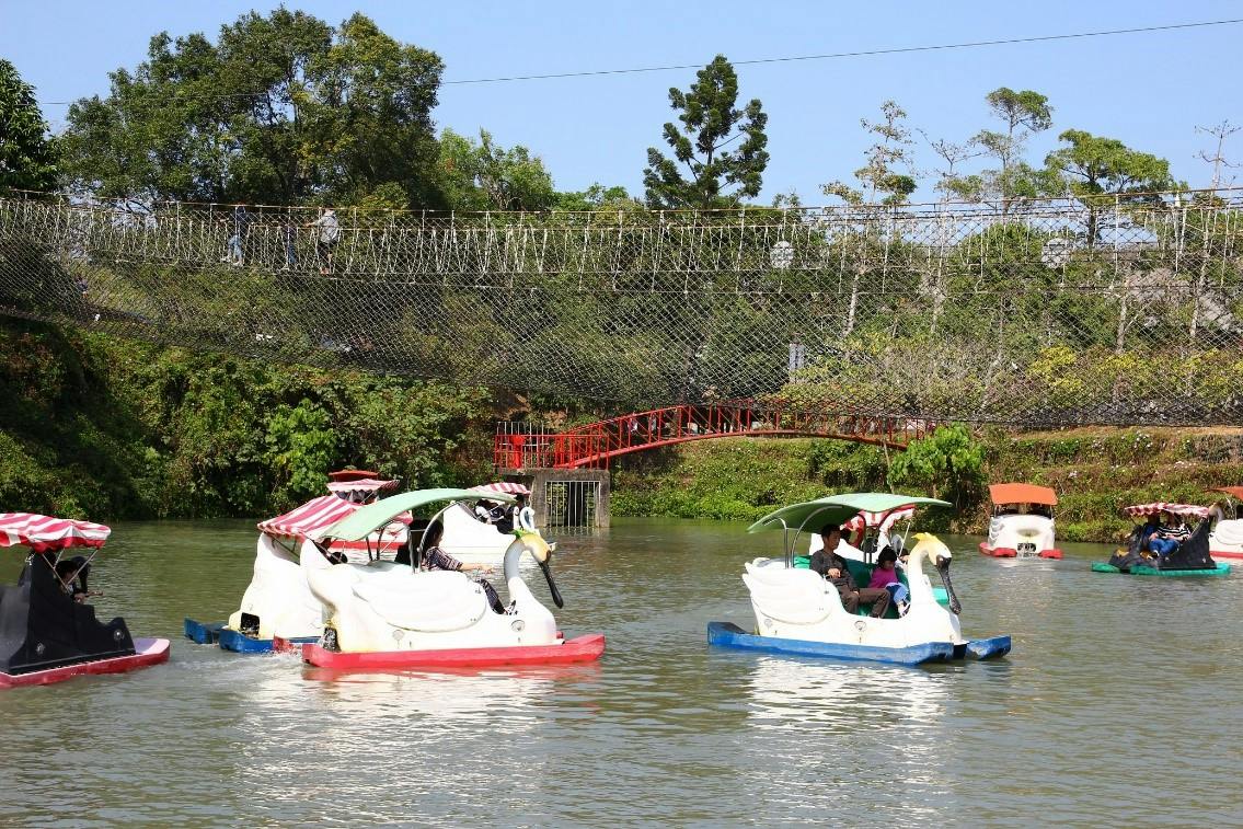 People riding swan-shaped pedal boats on a lake with a red bridge and trees in the background.