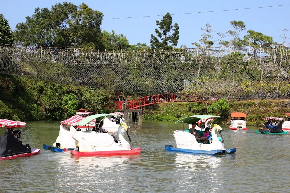 People riding swan-shaped pedal boats on a lake with a rope bridge and trees in the background.