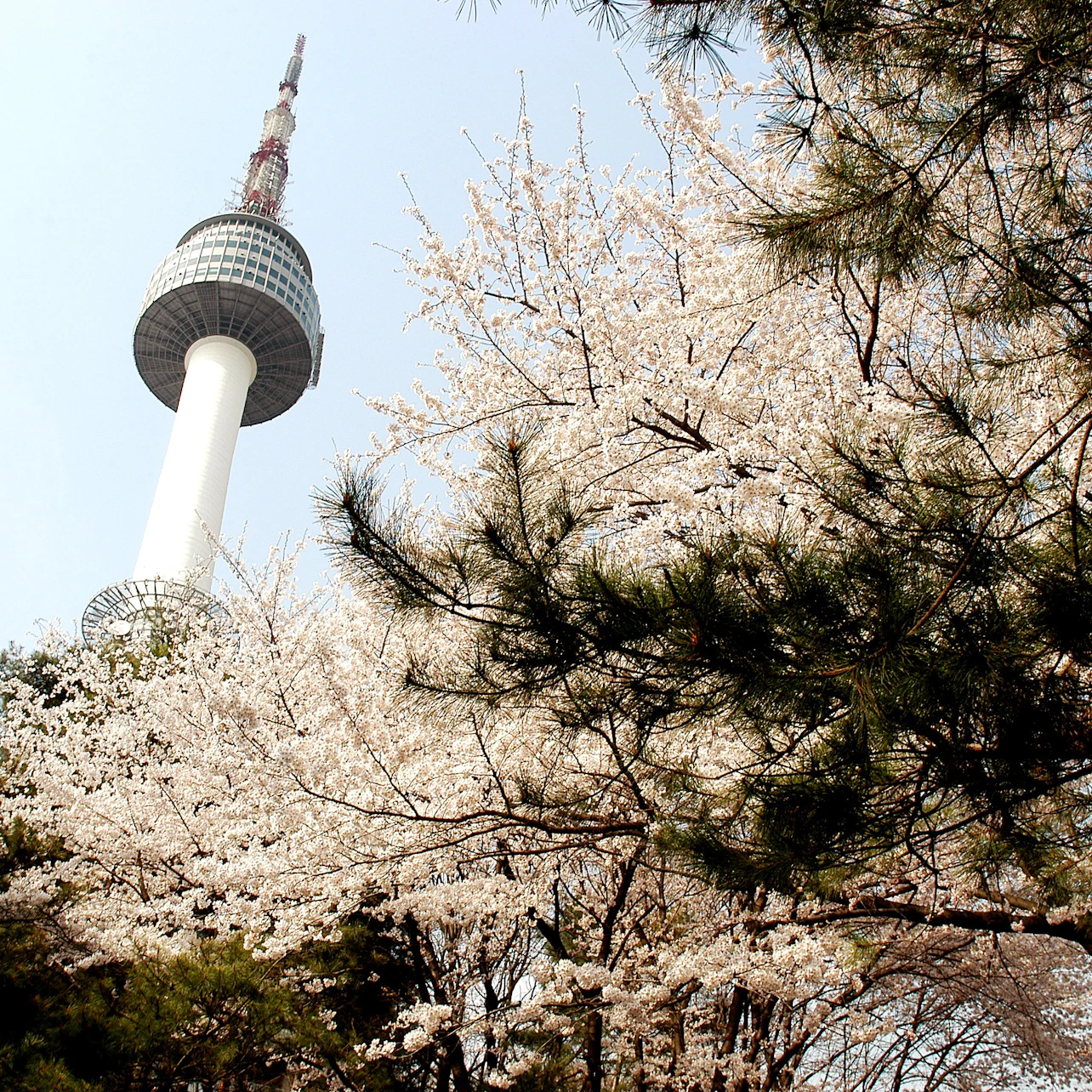 N Seoul Tower: Entry Ticket in Seoul β Tiqets
