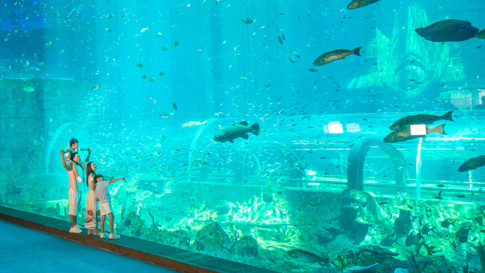 A person stands in front of a large aquarium, observing fish swimming among underwater plants and structures.
