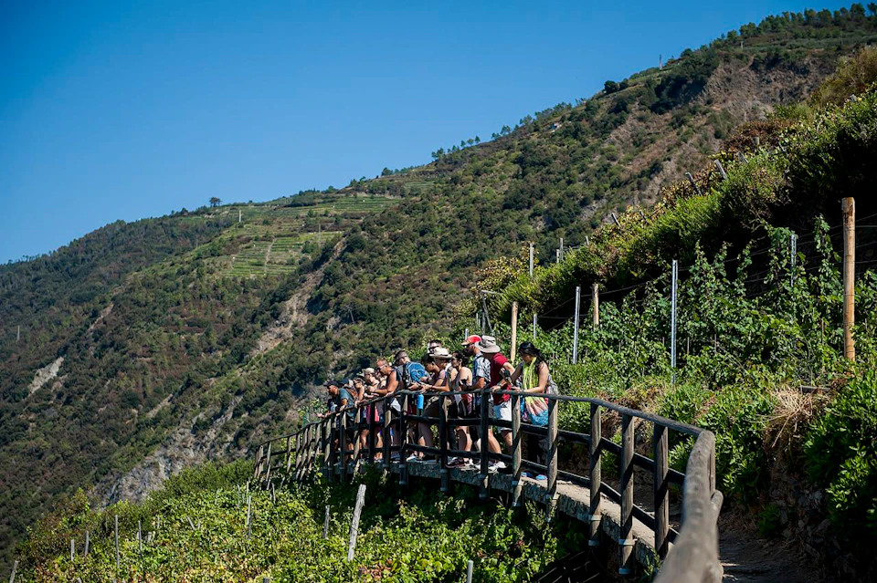 A group of people stands on a wooden walkway overlooking terraced vineyards and hills under a clear blue sky.