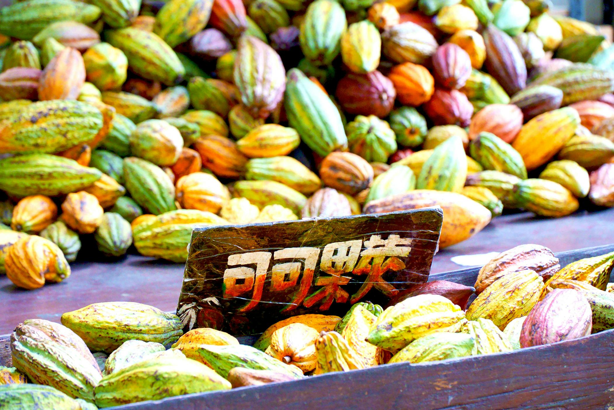 A pile of colorful cocoa pods with a sign displaying text in a non-English script, possibly indicating the product.