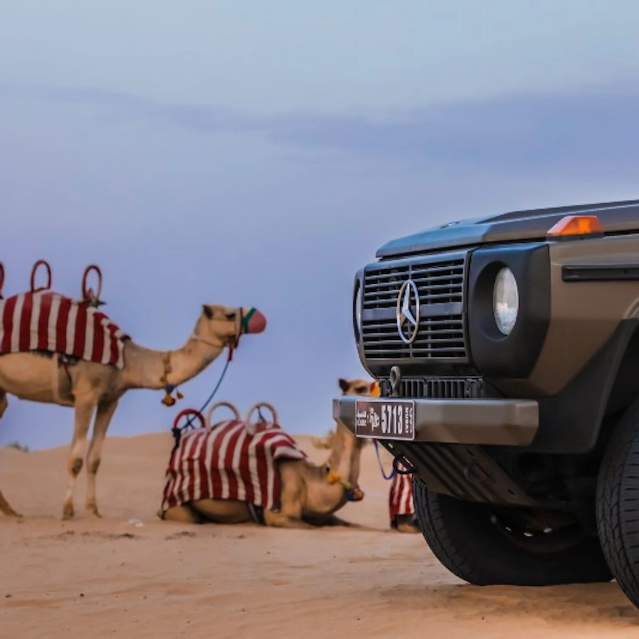 Evening Heritage Safari: Vintage G-Class Ride with Dinner at Al Marmoom Camp 3