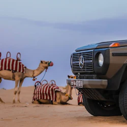 Evening Heritage Safari: Vintage G-Class Ride with Dinner at Al Marmoom Camp 3
