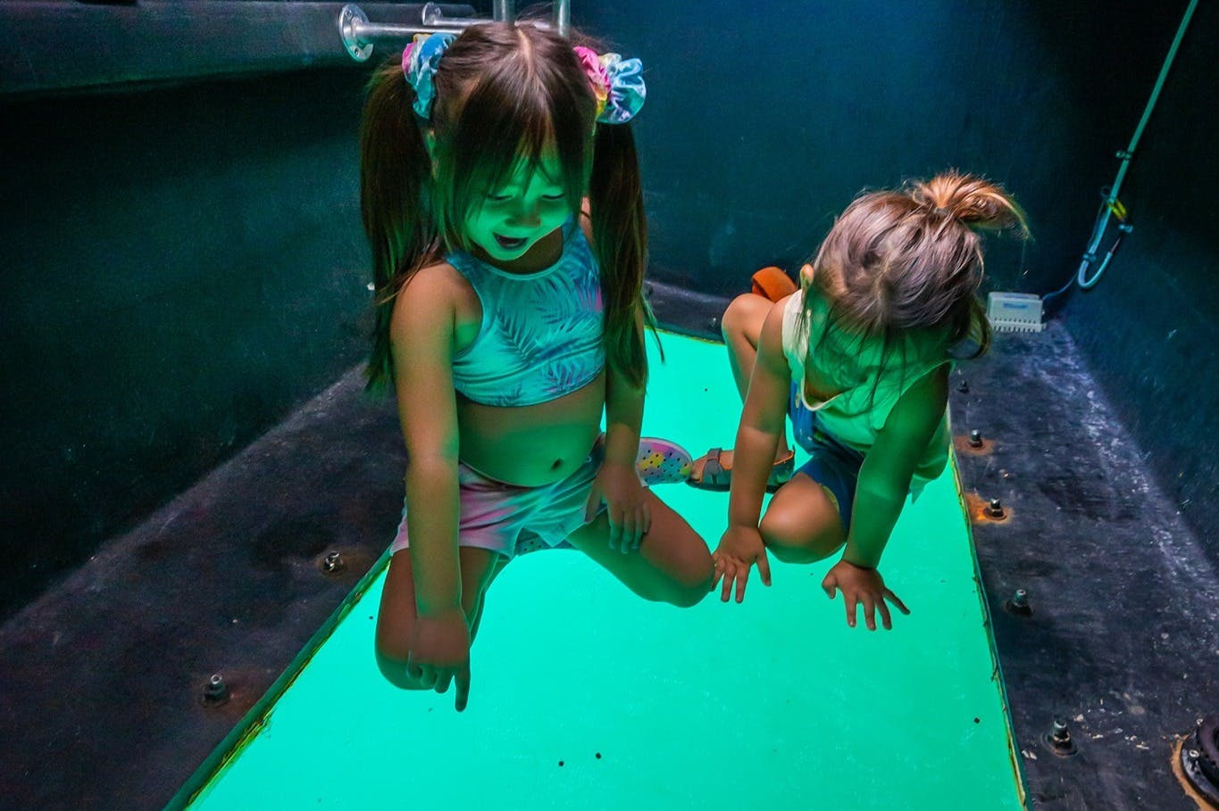 HAWAII GLASS BOTTOM BOAT TOURS