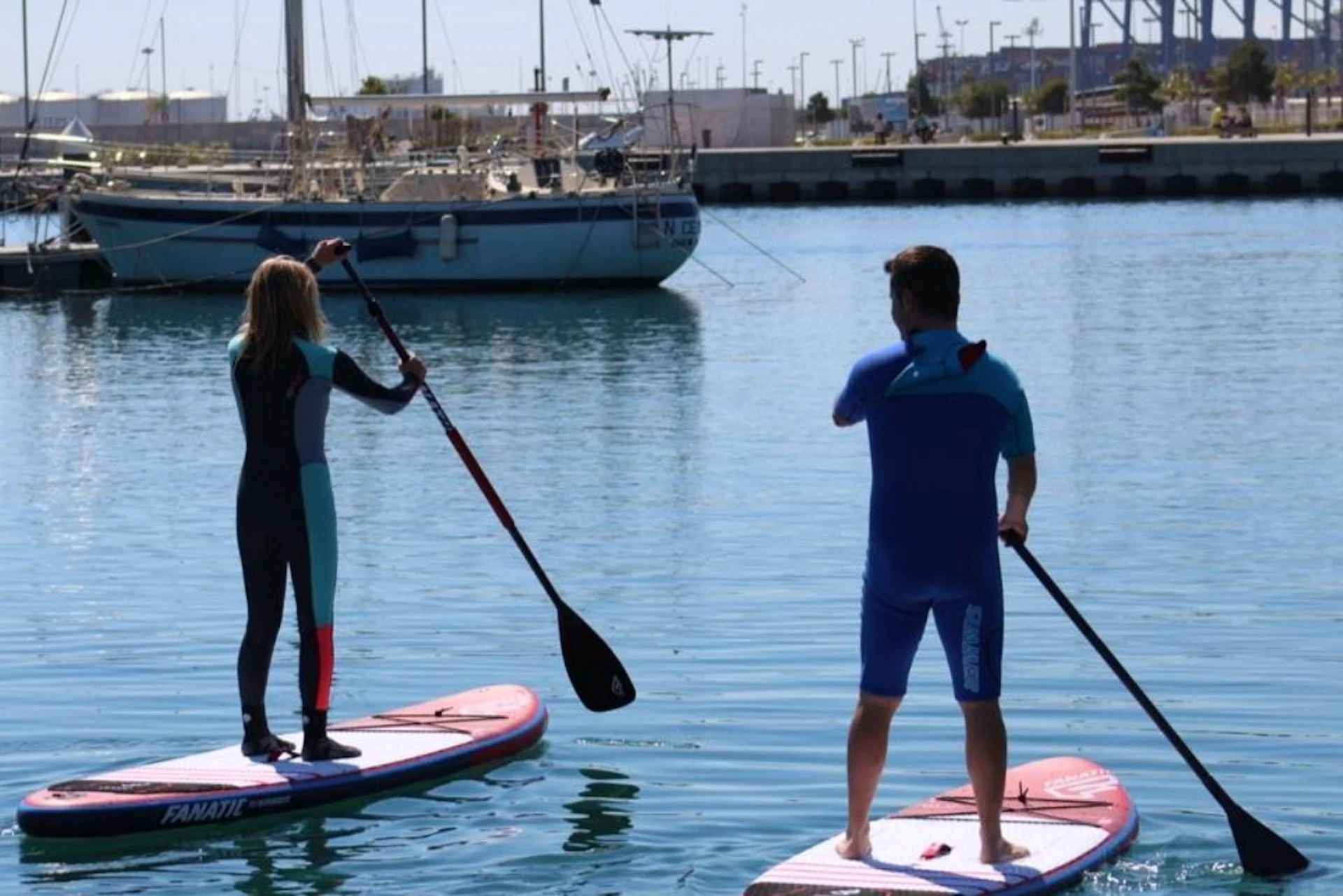 Stand Up Paddle Board